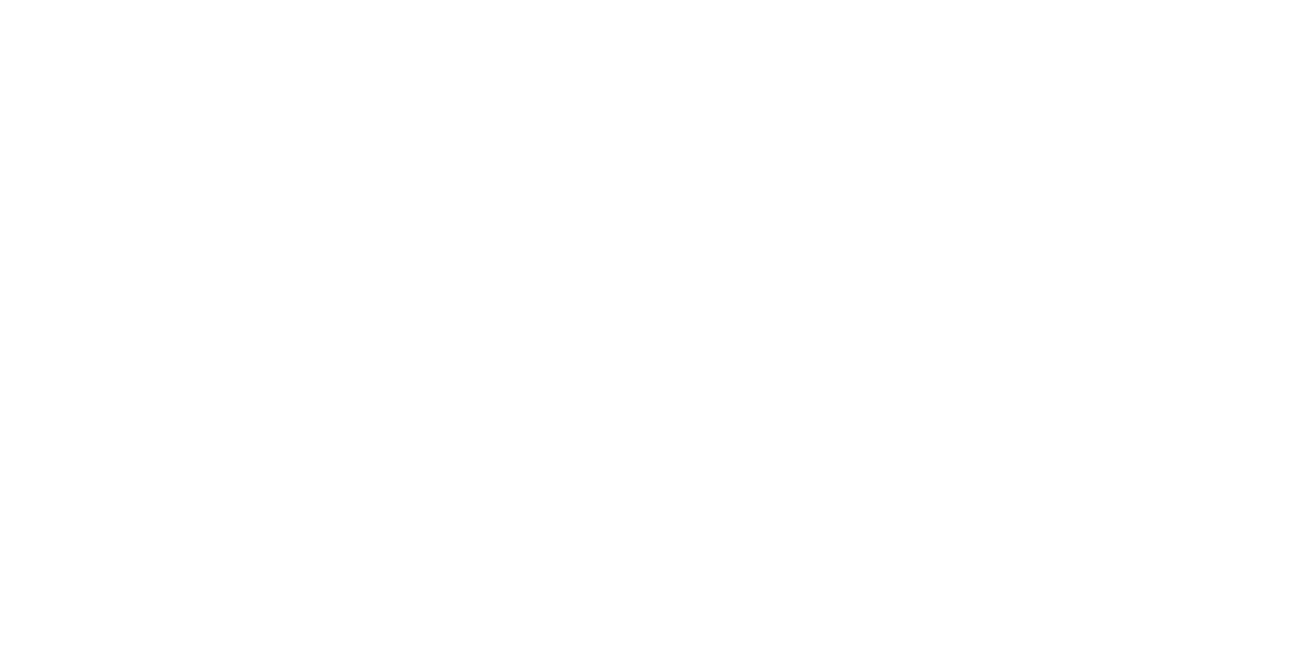 True North Healing Center White Logo